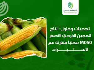شركات إنتاج الهجين والبذور في مصر